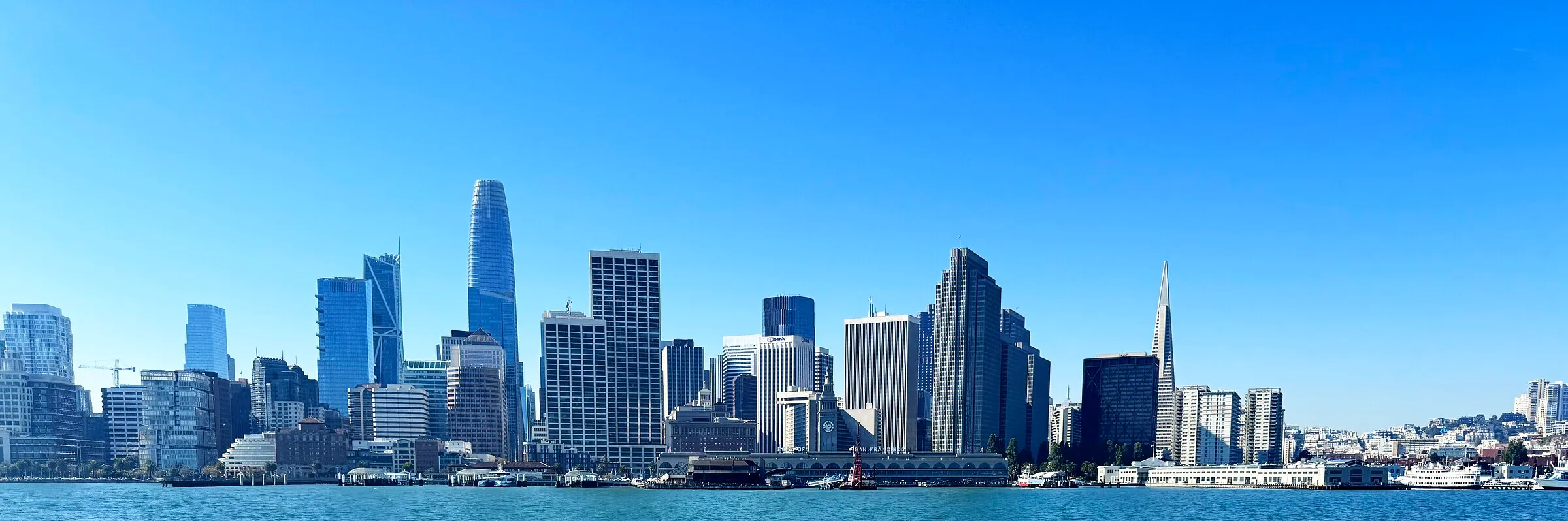 The San Francisco skyline seen across the bay